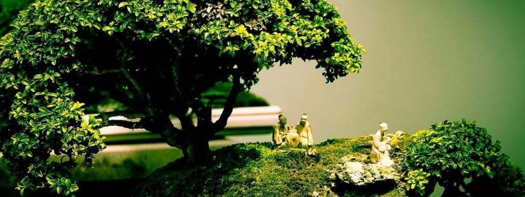 mini-bahçeler-bonsai-ağacı