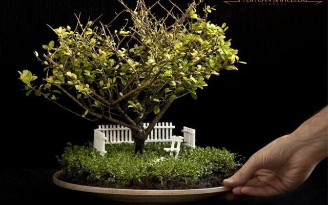 Sevdiklerinize Alabileceğiniz En İlginç Minyatür Bahçeler