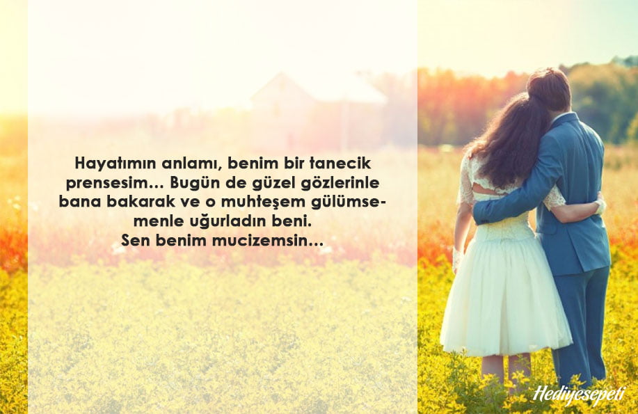Sivrisinek sarmalının - açık havada kan emici böceklerle savaşmanın en iyi yolu 6