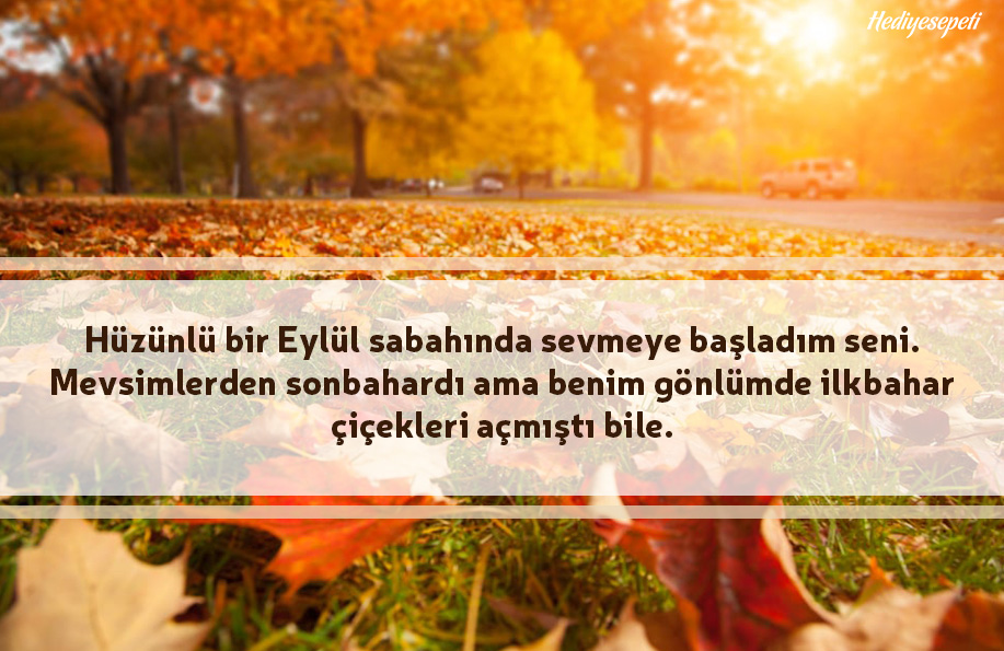 Sonbahar Sozleri Sonbahar Ile Ilgili Soylenmis En Guzel 50 Soz