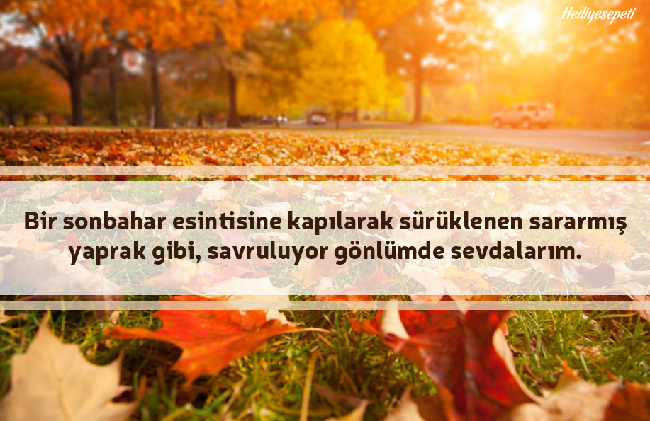 Sonbahar Sozleri Sonbahar Ile Ilgili Soylenmis En Guzel 50 Soz Hediye Sepeti